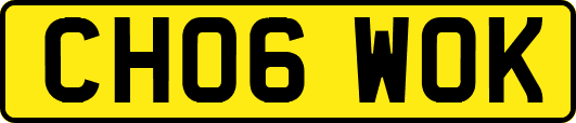 CH06WOK
