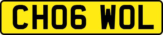 CH06WOL