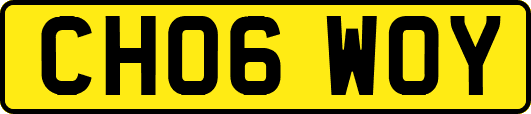CH06WOY