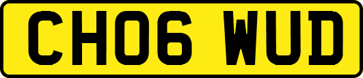 CH06WUD