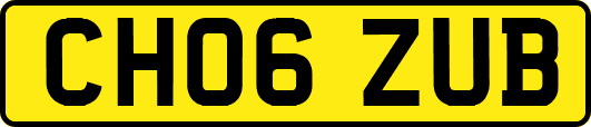 CH06ZUB