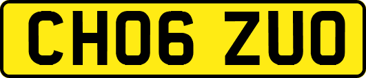 CH06ZUO