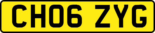 CH06ZYG
