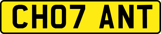 CH07ANT