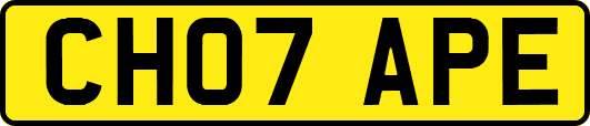 CH07APE