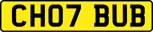 CH07BUB