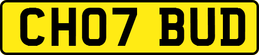 CH07BUD