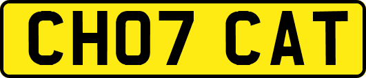CH07CAT