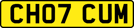 CH07CUM