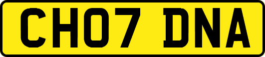 CH07DNA