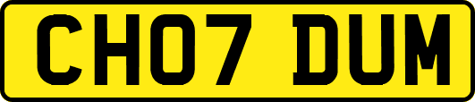 CH07DUM