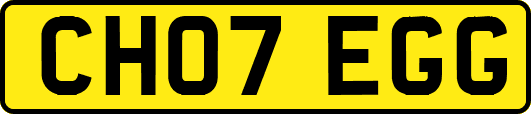 CH07EGG