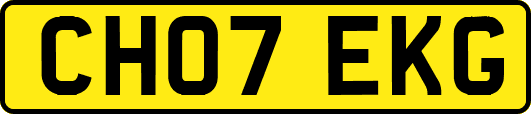 CH07EKG
