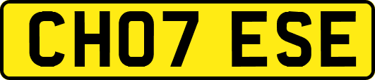 CH07ESE