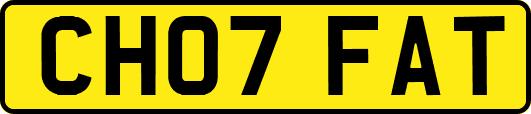 CH07FAT