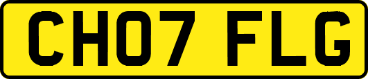 CH07FLG