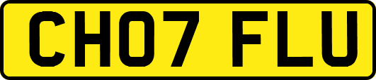 CH07FLU