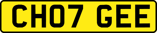 CH07GEE
