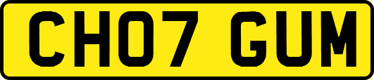 CH07GUM