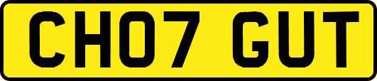 CH07GUT
