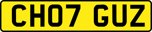 CH07GUZ