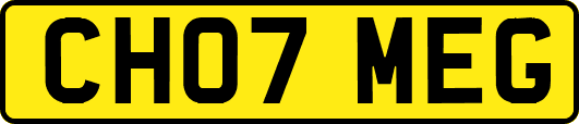 CH07MEG