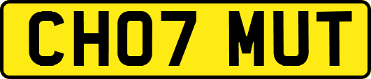 CH07MUT