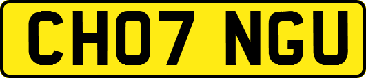 CH07NGU