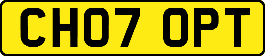 CH07OPT