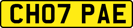 CH07PAE