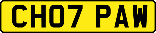 CH07PAW