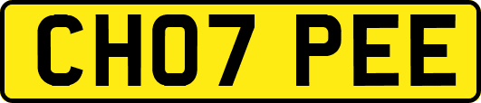 CH07PEE