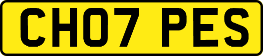 CH07PES