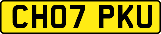 CH07PKU