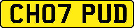 CH07PUD