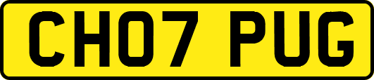 CH07PUG