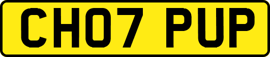 CH07PUP