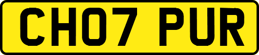 CH07PUR