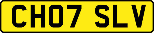 CH07SLV