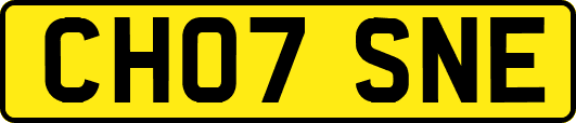 CH07SNE
