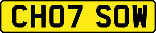 CH07SOW