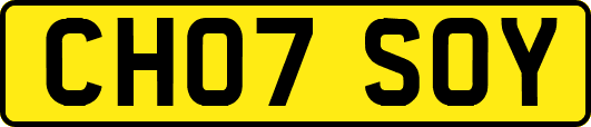 CH07SOY