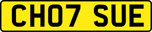 CH07SUE
