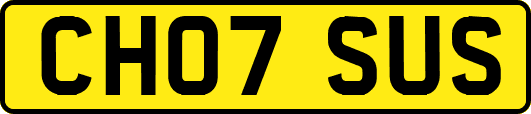 CH07SUS