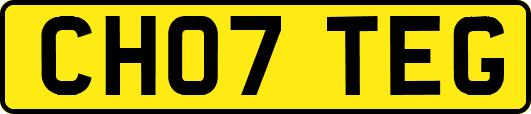 CH07TEG