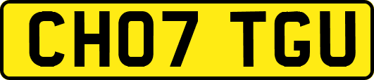 CH07TGU