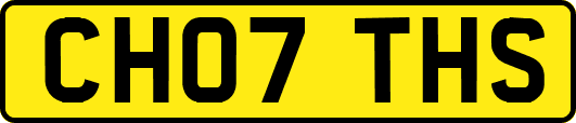 CH07THS