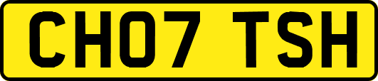 CH07TSH