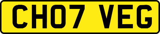 CH07VEG