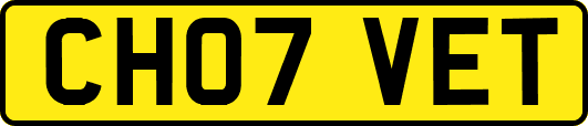 CH07VET